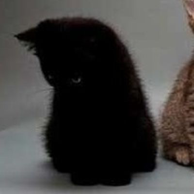 Вика Петричук