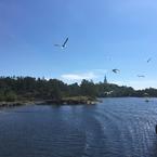 Наталья Поливода