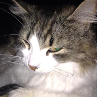 Ольга Василевич