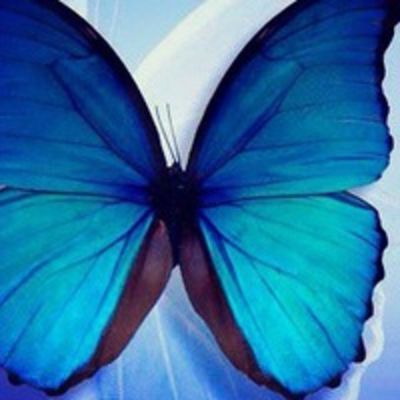 Елизавета Теплова