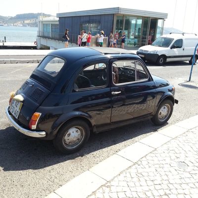 Светлана Радкевич