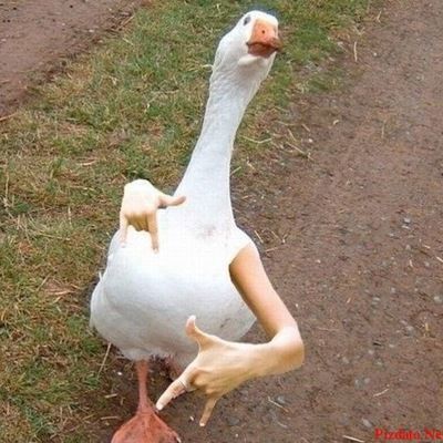 Никита Маточкин