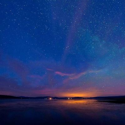 Алеся Губина