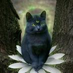 Виктория Сатанова