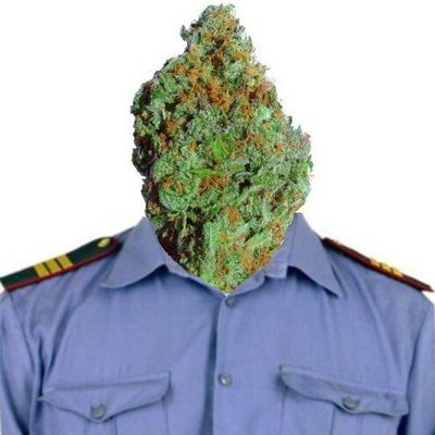 Жанна Колесникова