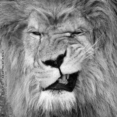 Алишер Кулдошов