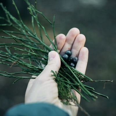 Юлия Шопина