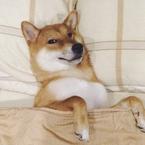 Егор Рябинский