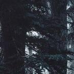 Елизавета Попова