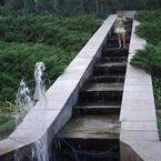 Ольга Харсеева