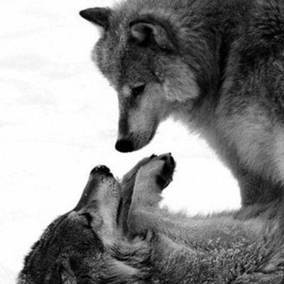 Алена Андрейкина