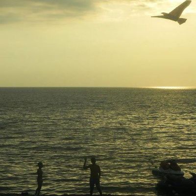 марина давыдова