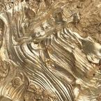 Римма Шаяфетдинова