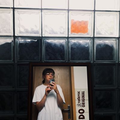 рододендрон