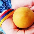 Светлана Афанесян