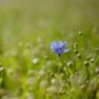 Гуля Журавлева