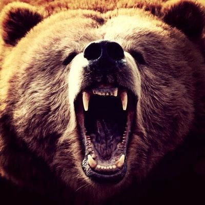 Александра Апина