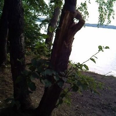 Эфигенiя Сидорова