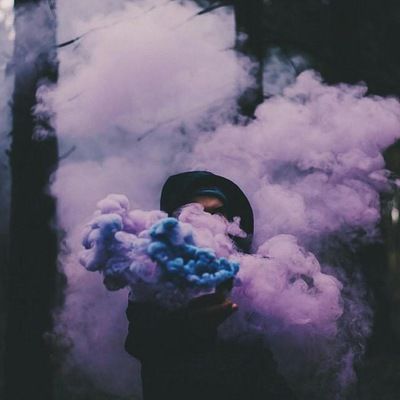 Алекс Майер