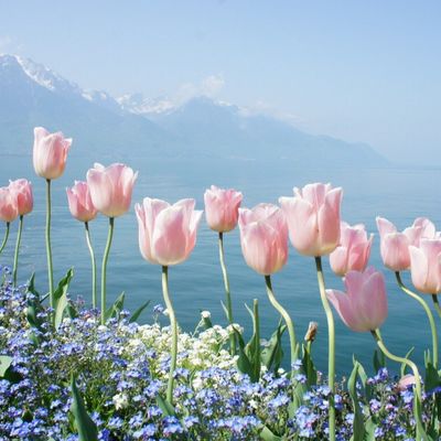 Элина Валиулина