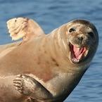 Танька Мещерякова