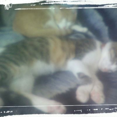 Никита Козлов