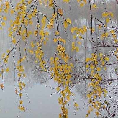 Ольга Варфоломеева