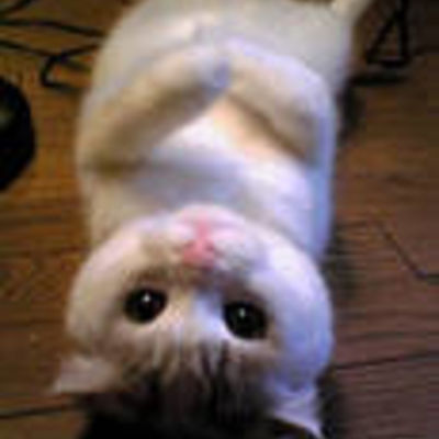 Екатерина К.