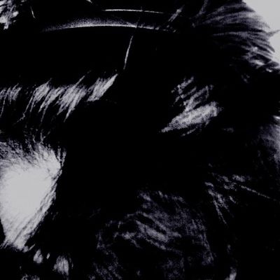 Максим Яковлев