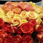 Оксана Савинова