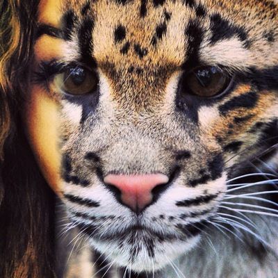 Кристина Соловьёва