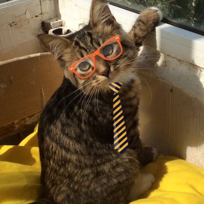 Александр Головинов