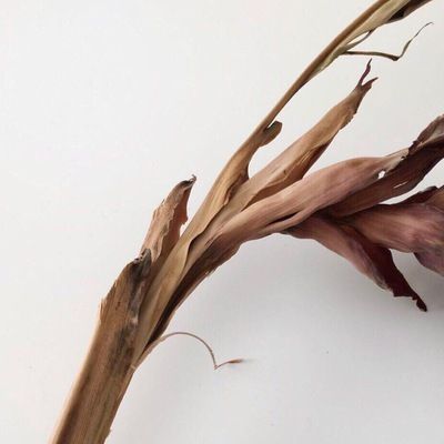 Даниил Черниковский