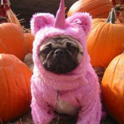 Валерия Берилло