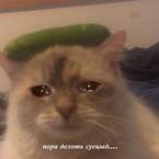 Анастасия Левицкая