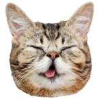 Васян кавсян