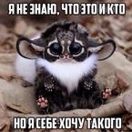 Соня Ефимова