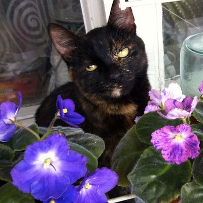 Ирина Маркина