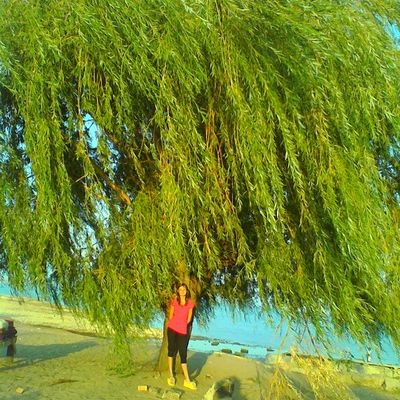 Ирина Донич