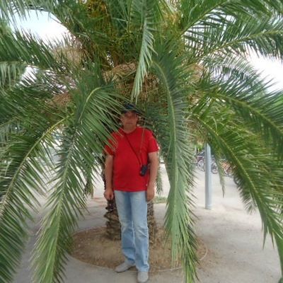 Андрей Кочепасов