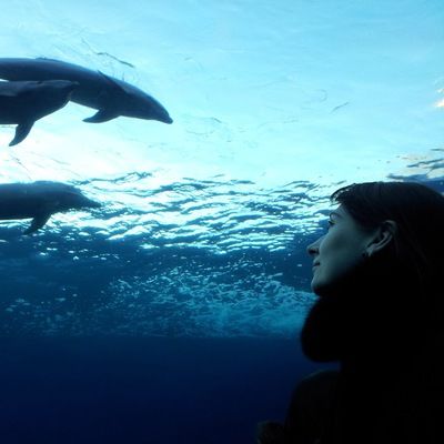 Анастасия Чекмез