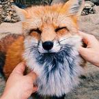 Алия Мавлетшарипова