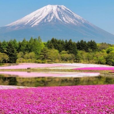 Бета Белова