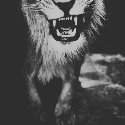 Варя Шаврова