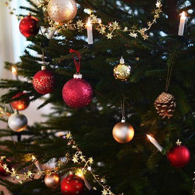 Елизавета Садыкова