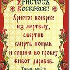 Анна Черных