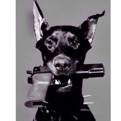 Эвелина Волкова