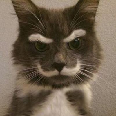 Зайнуллин Роман