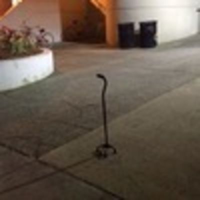 Рома Болдырев