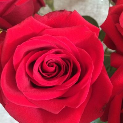 Эльмира Гимамова